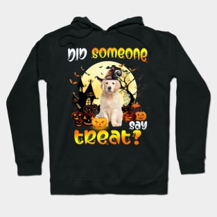 Golden Retriever Did Someone Say Treat Happy Halloween Hoodie